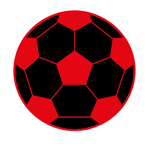 home team logo
