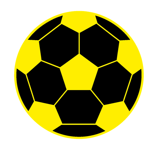 home team logo