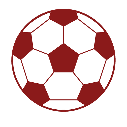 home team logo