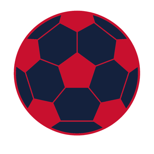 home team logo