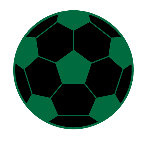 home team logo